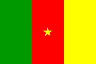 Flag of Cameroon with smaller star